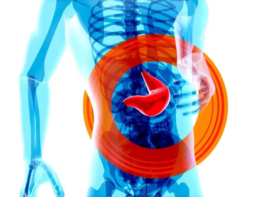 Liver Profile Package